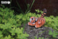 3D Wild Dier - Tijger