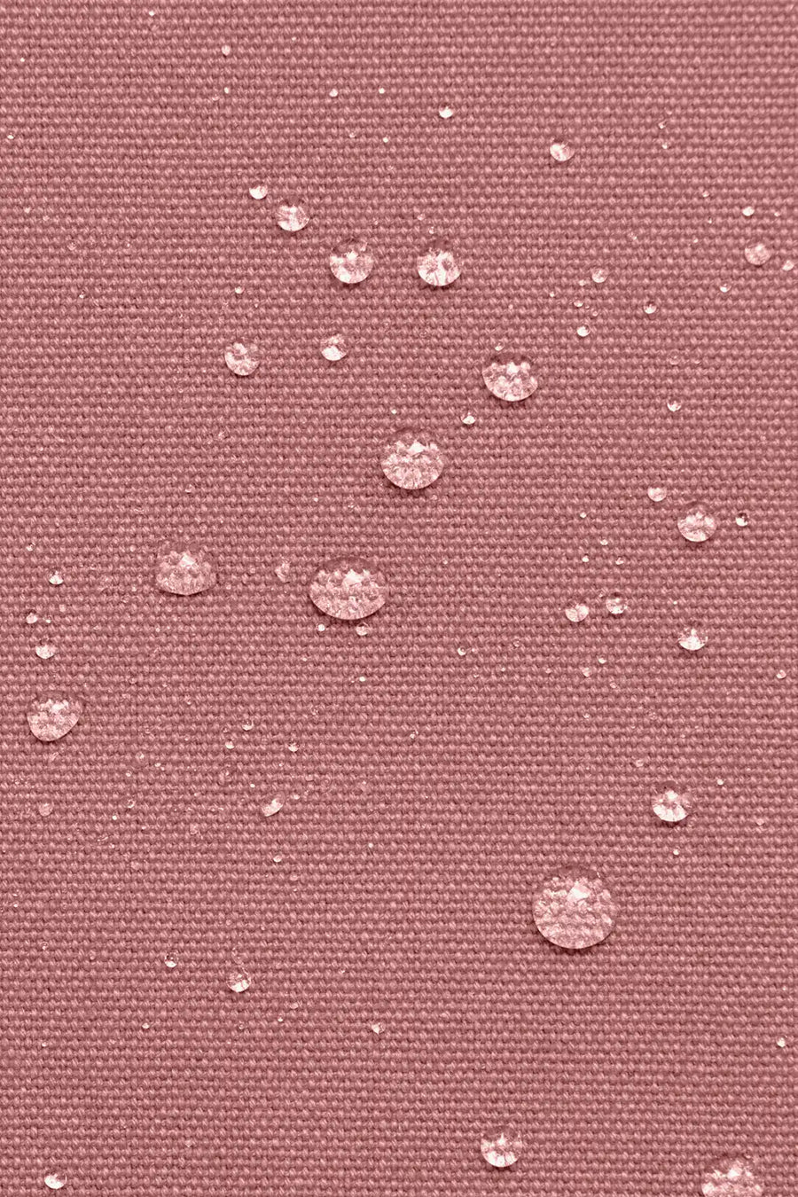 Guillaume - Rose Blush