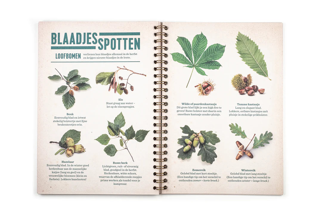 Op avontuur in de Ardennen